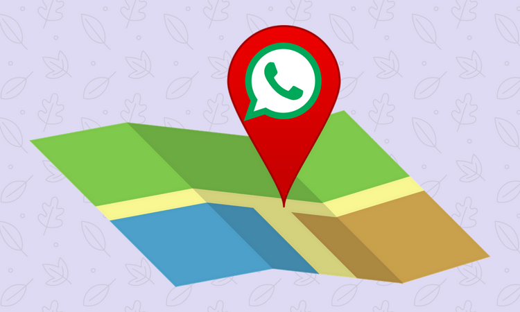 Share your Live Location with Friends on WhatsApp