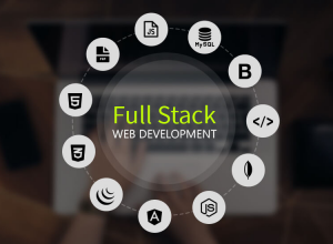 How to Learn Full Stack Web Development?