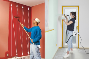 Spray Paints and Roll Paints for Walls – Pros & Cons