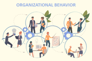 What is Organizational Behavior (OB)? Why is It Important?